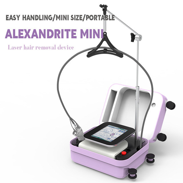 2024 sebagian besar catu daya laser dioda 755 nm bagian Alexandrite mini produk klinik kecantikan untuk peralatan kecantikan penghilang rambut layar sentuh pintar filter LCD